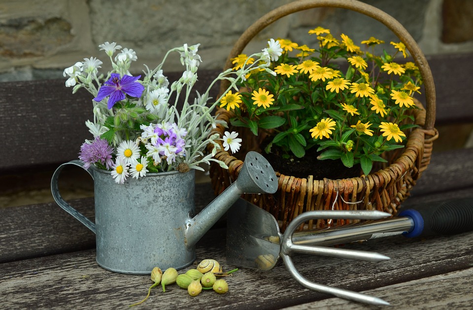 Comment réussir la décoration de mon jardin ?